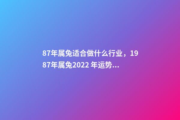 87年属兔适合做什么行业，1987年属兔2022 年运势 87年兔34岁的财运2022，1987年属兔2022年运势及运程女性-第1张-观点-玄机派